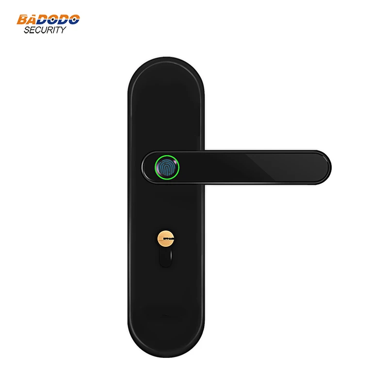 Fingerprint Lock Electric Door Lock with emergency mechanical key for indoor home wooden door
