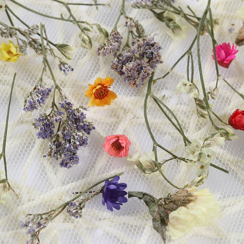 3D украшения для ногтей цветные смешанные сохраненные цветы с коробкой в форме