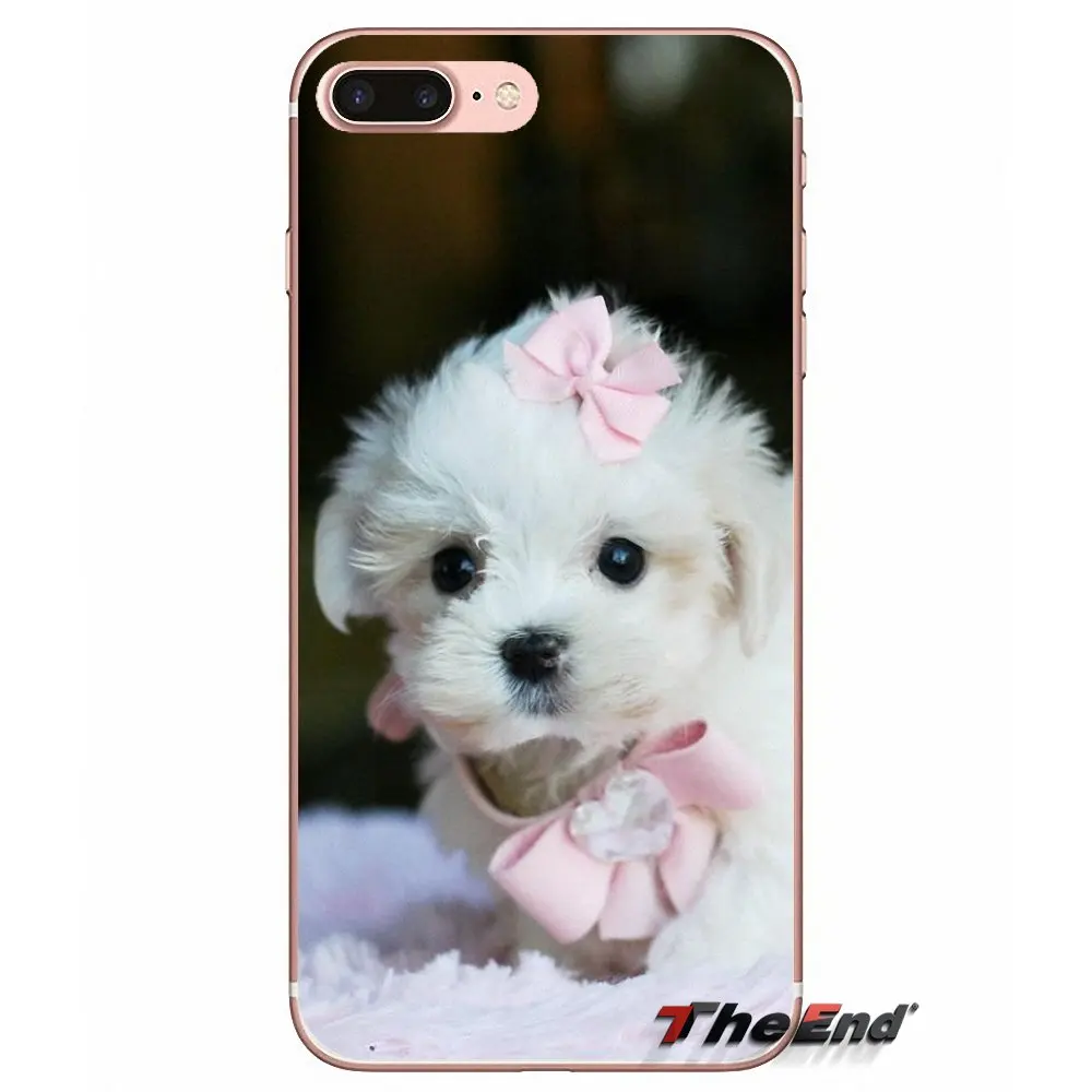 Для Samsung Galaxy J1 J2 J3 J5 J7 A3 A5 A7 2015 2016 2017 J530 J730 Fundas Coque I Love My Maltese dog puppies силиконовый чехол |