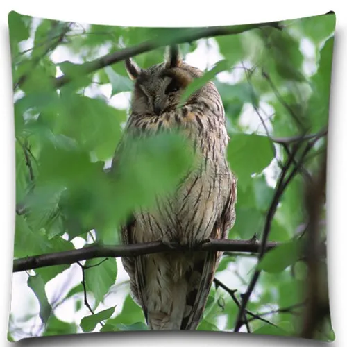 Креативный Чехол Подушка с рисунком Совы в зеленых листьях квадратная хлопковая
