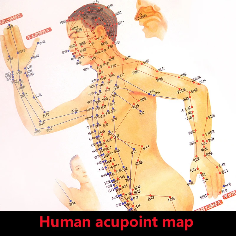 Стандартный Меридиан Акупунктура диаграмма точек и ZhenJiu Moxibustion Acupoint Массажная диаграмма для головы рук ног тела здравоохранения