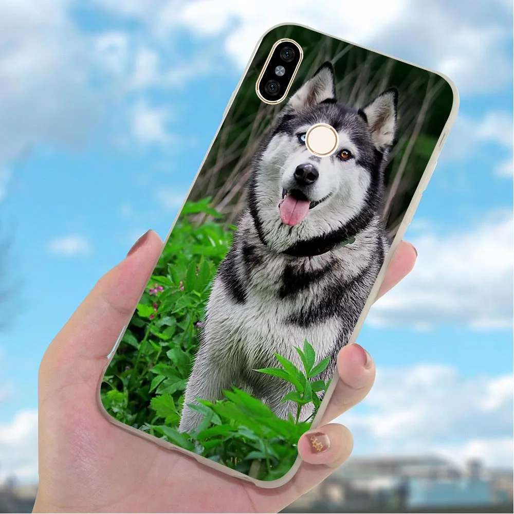 Мягкий чехол из ТПУ для телефона Redmi 7 Pro Husky собак 4X A2 A1 9se 4A 5 Plus 5A Prime 6A Note Xiaomi Mi 9 10 Lite