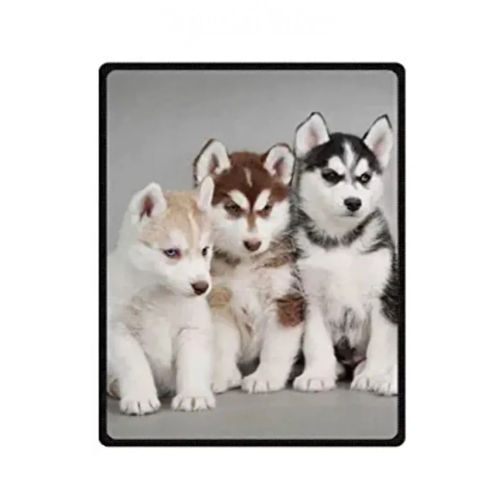 Одеяло s Забавный Сибирского Хаски щенки удобные диван-кровать | Дом и сад