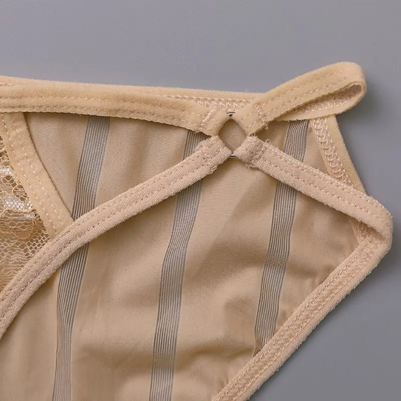 

6 Color Transparent Thin Lace Hollow Brief For Women Mesh See-through Solid Color Underpant Cotton Sexy Underwear Female