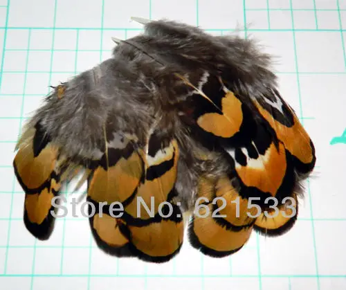 100Pcs/Lot 5-8CM GOLDEN YELLOW Reeves Venery Pheasant Plumage feathers, Reeves Pheasant feathers