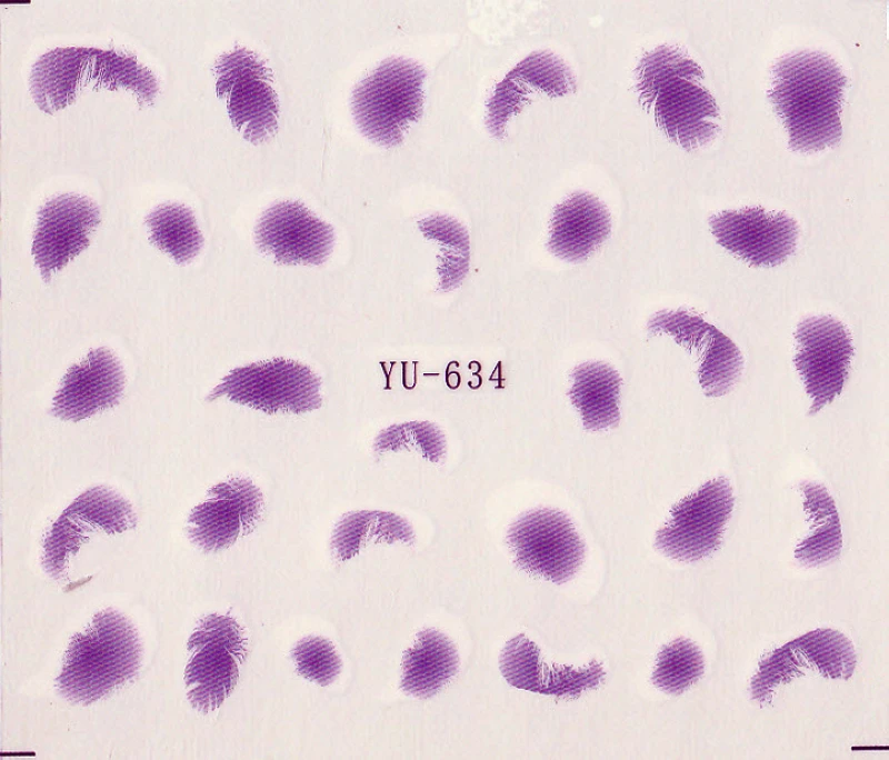 6 упак./лот переводная наклейка на ногти с изображением птиц павлина перьев YU634