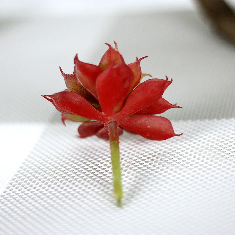 Лу Лян мясо комнатных растений искусственные цветы моделирования микро-пейзаж