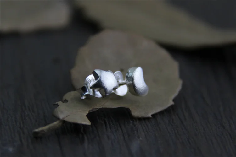 2pcs 2019 New 925 Sterling Silver Fashion Charm Woman Earrings Stars Moon Jewelry Gift