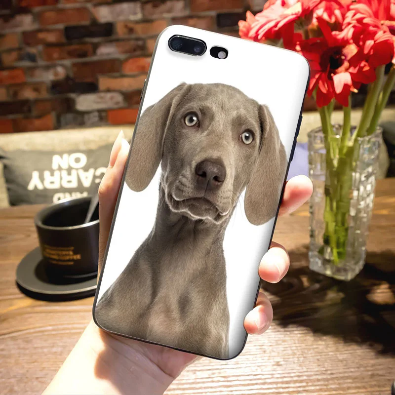 Чехол для телефона MaiYaCa с изображением таксы и собаки классические картины iPhone 8