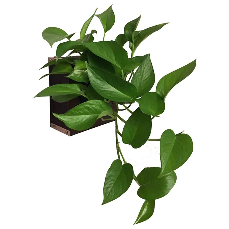 

Garden Supplies