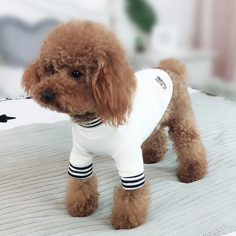 Маленькая Большая одежда для домашних животных собак куртка пальто с капюшоном