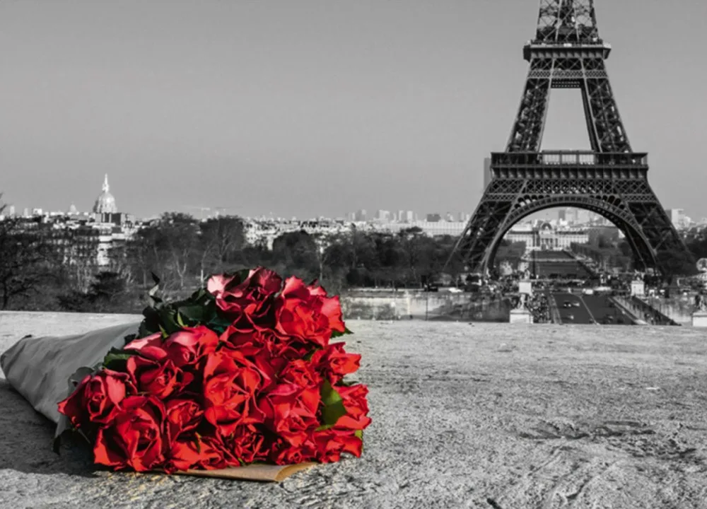 100% DIY 5D алмазная картина велосипед британская Франция EiffelTower Роза вышивка