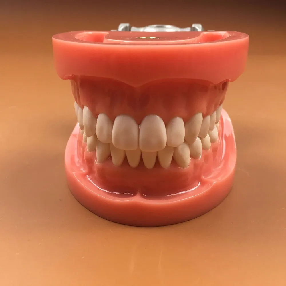 1 шт. стандартные модели 32 зубов из Жесткой Резины зубных щеток для