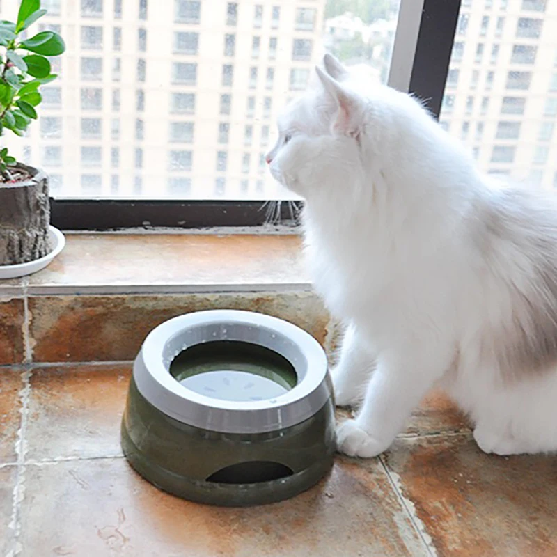 Плавающая миска для кошек без влажного рта кормушка воды и корма котят домашних