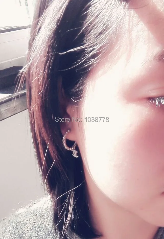 Стерлингового серебра 925 пробы и вакуумный 18 К золото микро PaveZircon серьги|earring