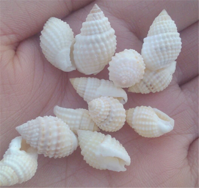 Лидер продаж 100 шт./лот с изображением груши раковины натурального аквариума