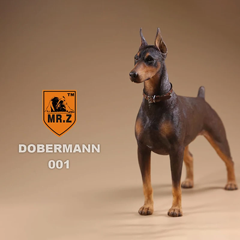 Mr. Z Real Animal 10th 1/6 масштаб собака около 15 см. Германия Doberman статуя пиншер модель DB001 для 1" HOTTOYS HT Коллекционная фигурка
