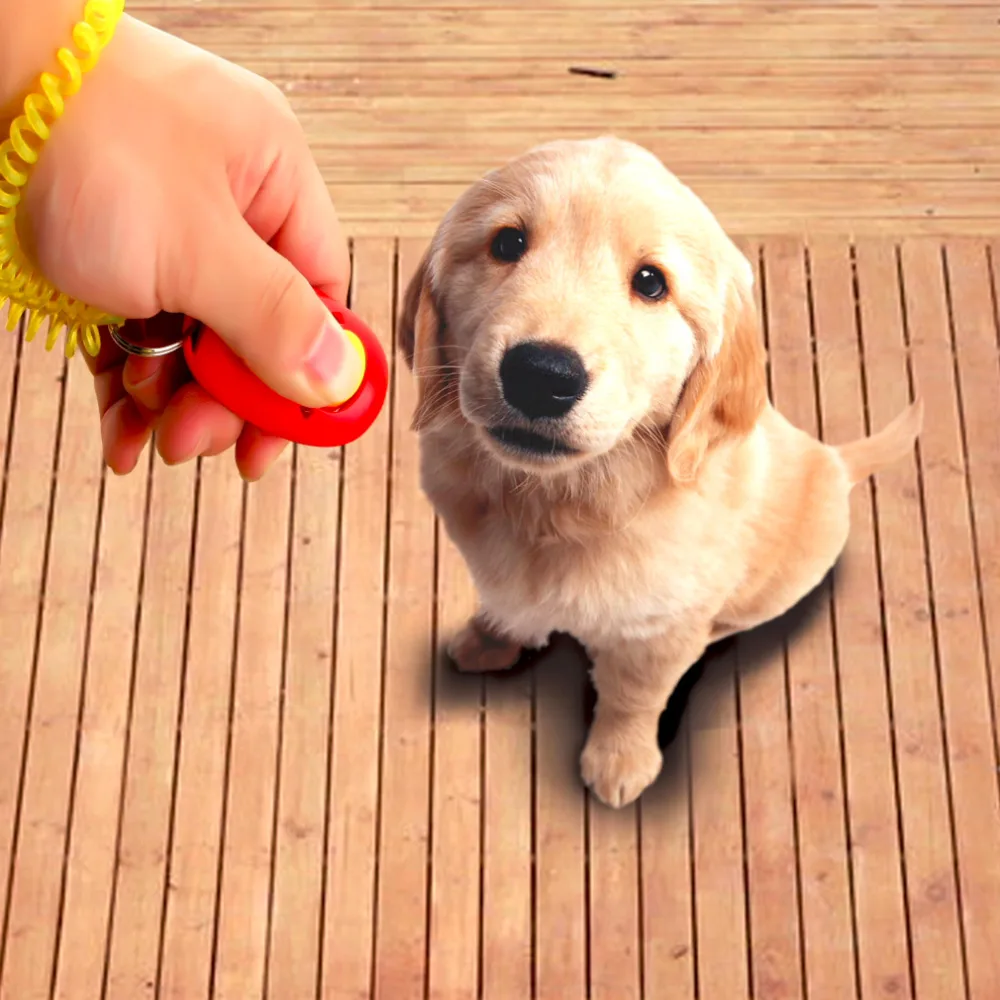 Собака Pet клик кликер для тренировок послушанию ловкость тренера вспомогательный ремешок на руку