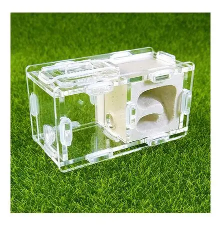 Мини-штукатурка Муравьиное гнездо 2 комнаты искусственный дом Москитная клетка