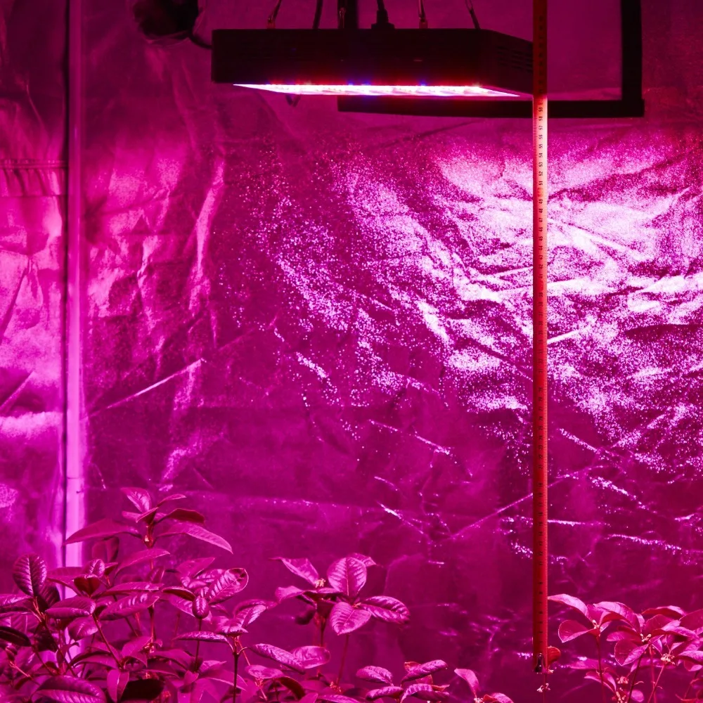 Светодиодная лампа полного спектра для выращивания растений 4 шт./лот 1000 Вт|led grow