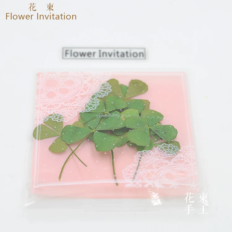 Приглашение на цветок четырехлистный клевер цветы сделай сам высушенные с