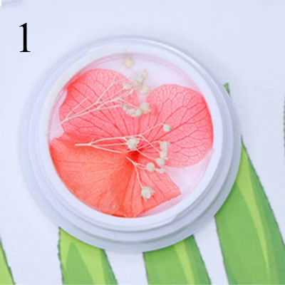 1 Natural Nail Dried Flowers Decoration Mix Dry Flower And Leaf Decor 3D Nail Art Designs Gypsophila Manicure Accessories - Цвет: 1