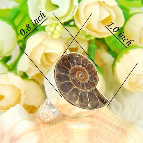 Luckyshine antique aneis feminino silver plated natural Ammonite Fossil floating charms for jewelry making rings unisex | Украшения и