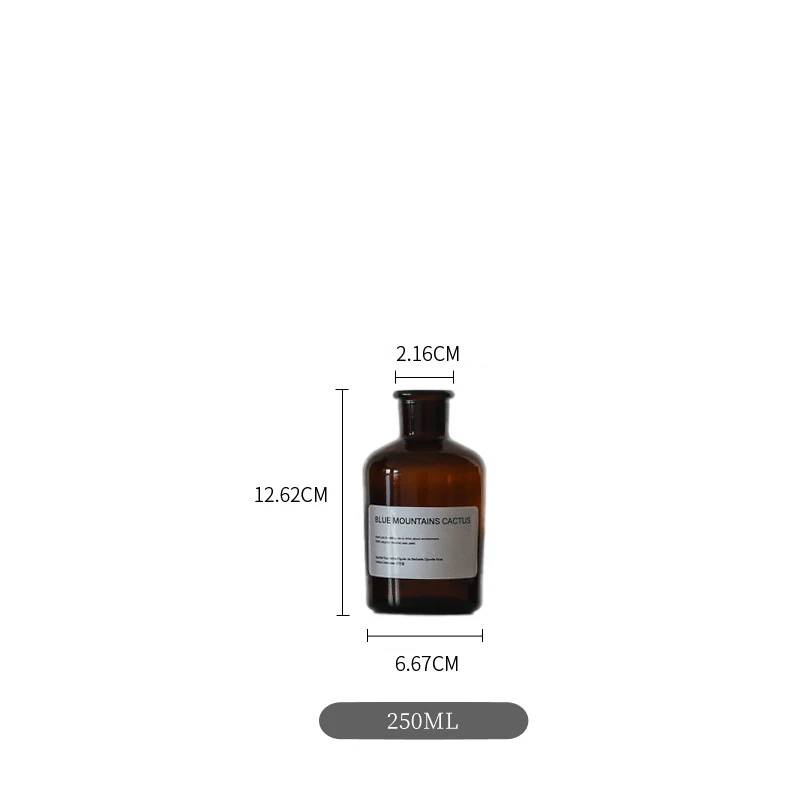 250ml Минималистичная шикарная стеклянная банка для хранения с наклейкой скандинавский элегантный стол для хранения бутылки Органайзер цветочный контейнер Декор - Цвет: 250ml