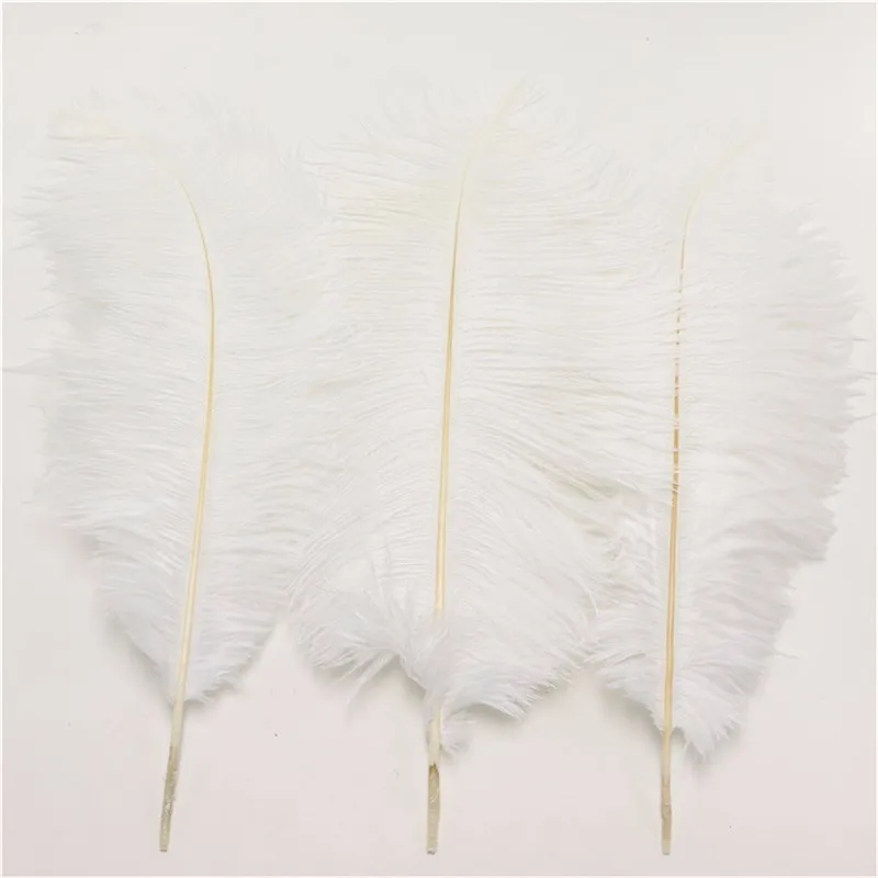 

Elegant White Ostrich Feathers 25-30 cm 10 to 12 Inches Plumage for Floral Arrangements Wedding Decorative Feather 50 pcs/lot