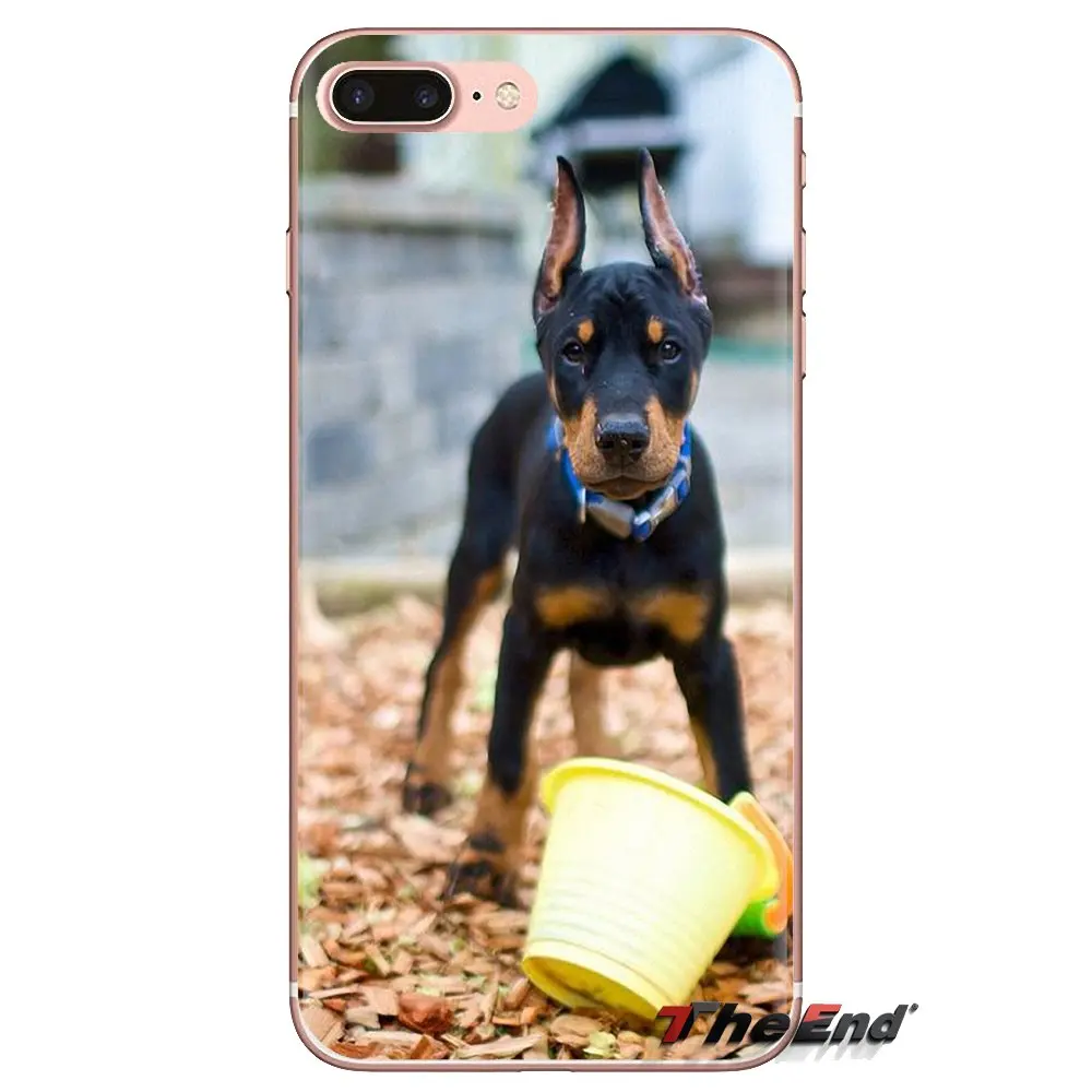 Прозрачные мягкие чехлы для iPod Touch Apple iPhone 4 4S 5 5S SE 5C 6 6S 7 8 X XR XS Plus MAX Pinscher собака