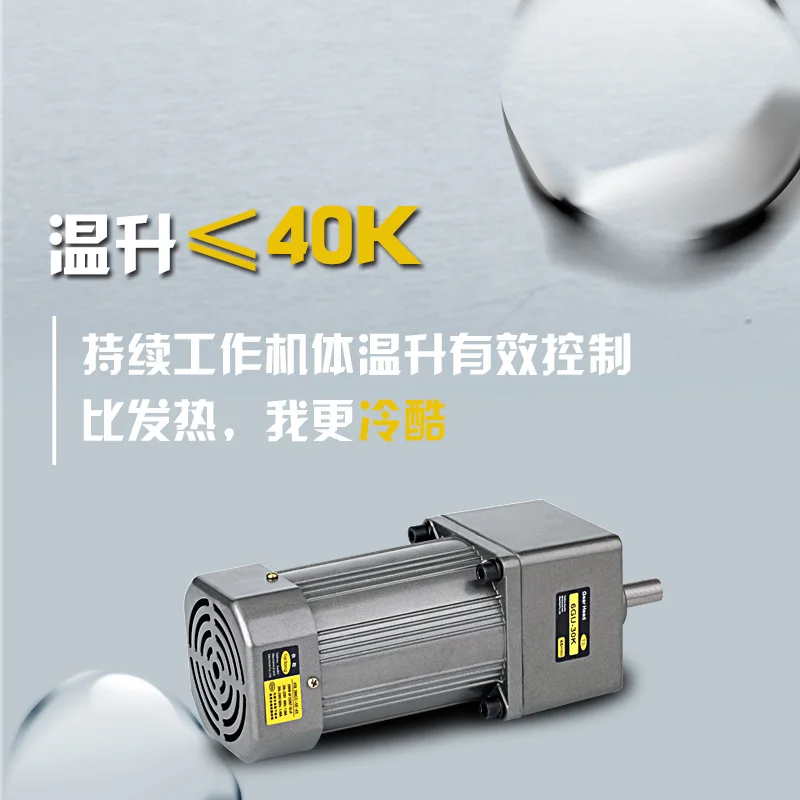 AC220V 300 Вт миниатюрный асинхронный мотор редуктор переменного