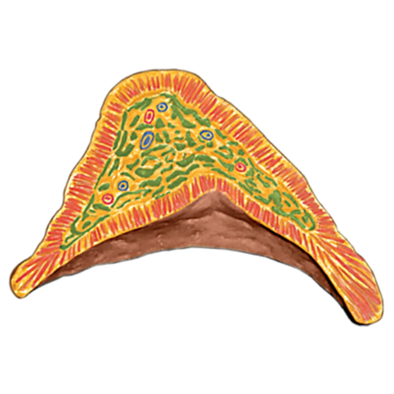 4D человеческий почечный интеллект сборная игрушка человеческая анатомическая