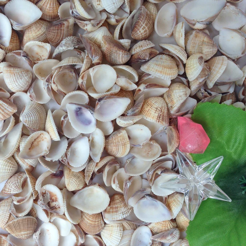 Аквариум HappyKiss 30 шт./лот из натуральной ракушки серая ракушка sallei аквариум yangtz