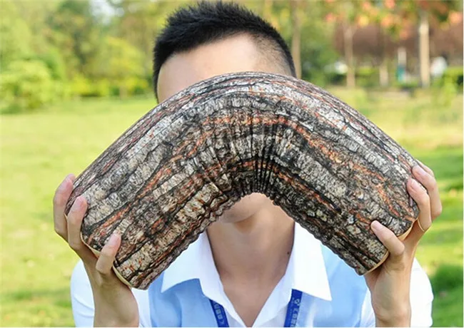 

Hot Sale Cute Round Woods Grain Soft Plush Chair Seat Cushion Pillow New Fashion Stump Shaped Decorative Pillows Home Car Decor