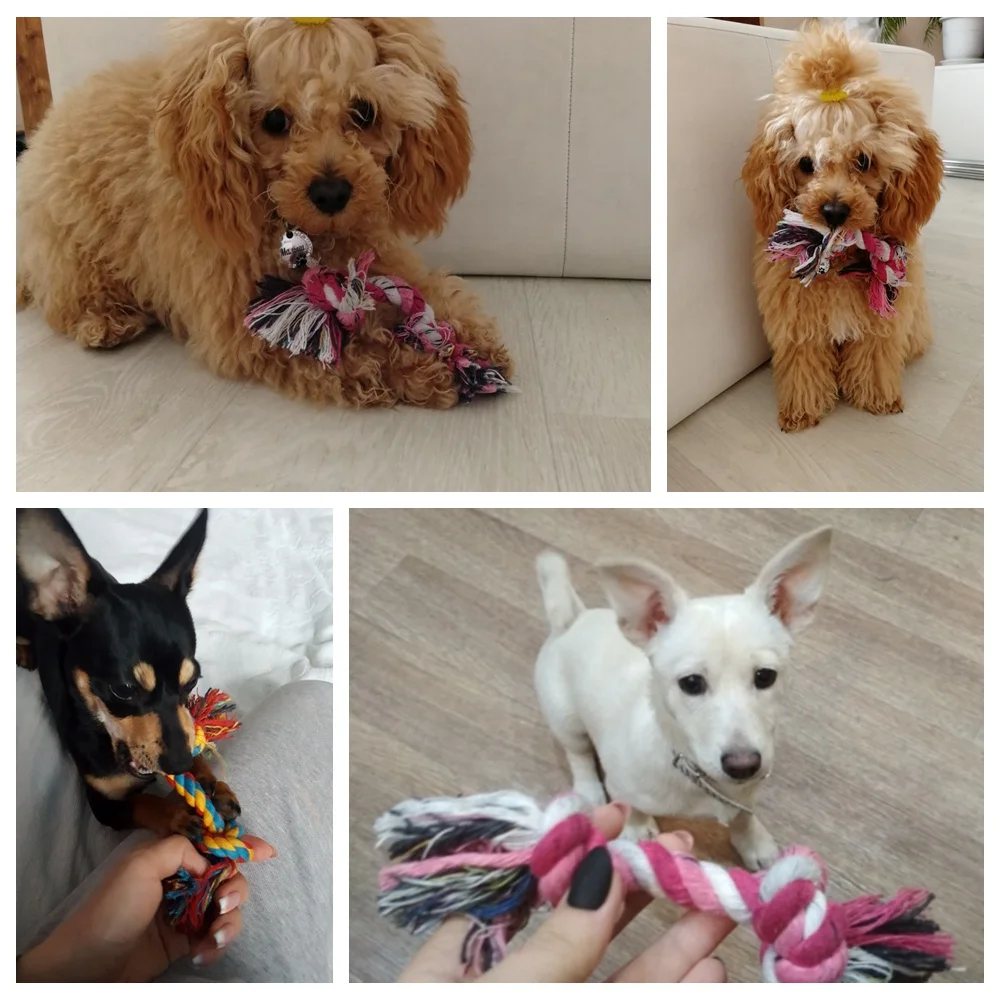 Игрушечная веревка для собак больших маленьких интерактивные игрушки щенков