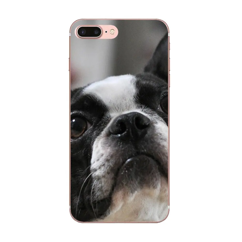 Soft Silica For Xiaomi Redmi Note 2 3 3S 4 4A 4X 5 5A 6 6A Pro Plus I Love French Bulldog With Glasses Animal On Sale Cool | Мобильные