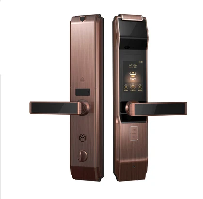 Red bronze Новейшая Высококачественная система распознавания ириса, умный замок, пароль, ключ, разблокировка ирис, точность, разблокировка дверного звонка, дверная камера, индукция ПИР - Цвет: Red bronze