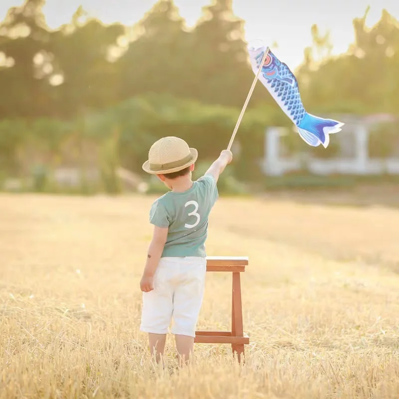 Японский Карп Windsock стример рыба пиратский флаг воздушный змей мультфильм