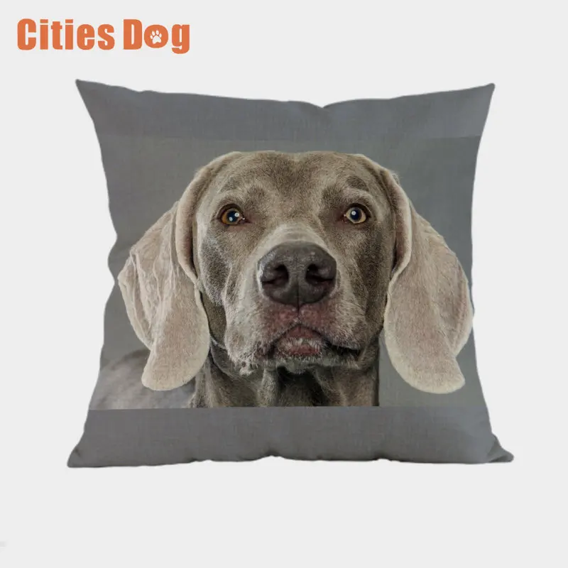 YDQ0056 Weimaraner декоративные подушки Чехол для собак cojines размером 45*45 см decoracion с рисунком собак из пледы чехол для подушечки в машину подушки - Цвет: YDQ0056