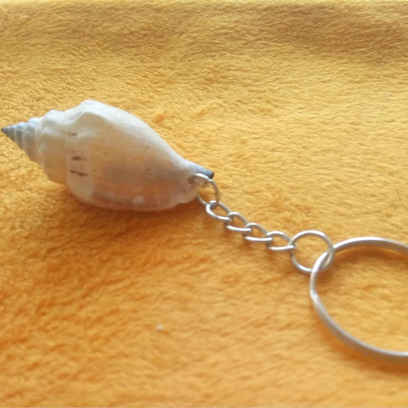 10 шт./1 партия очки в виде черепахи | Дом и сад