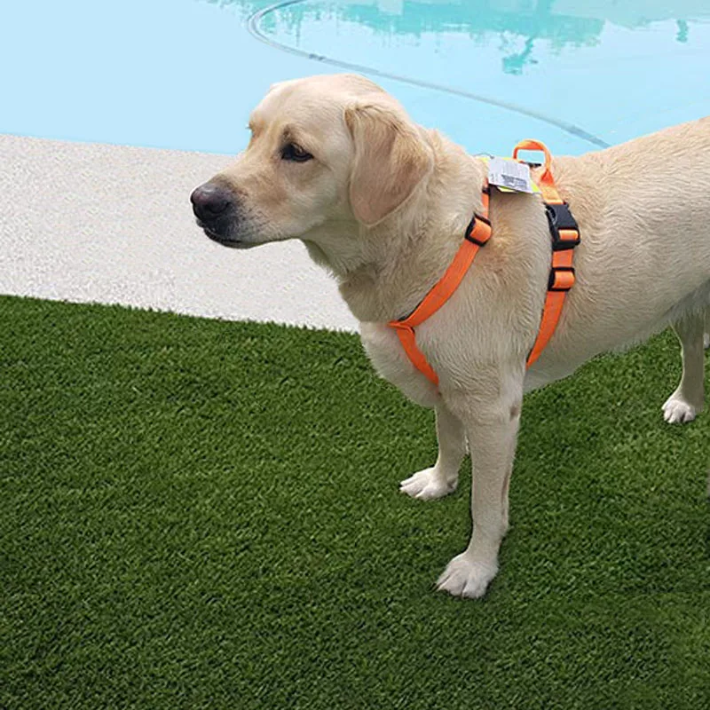 Truelove Pet Регулируемый светоотражающий нейлоновый ремень с ручкой безопасности