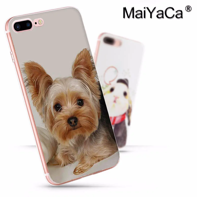 Чехол для телефона MaiYaCa йоркширский терьер собака новинка Модный чехол Apple iphone 11