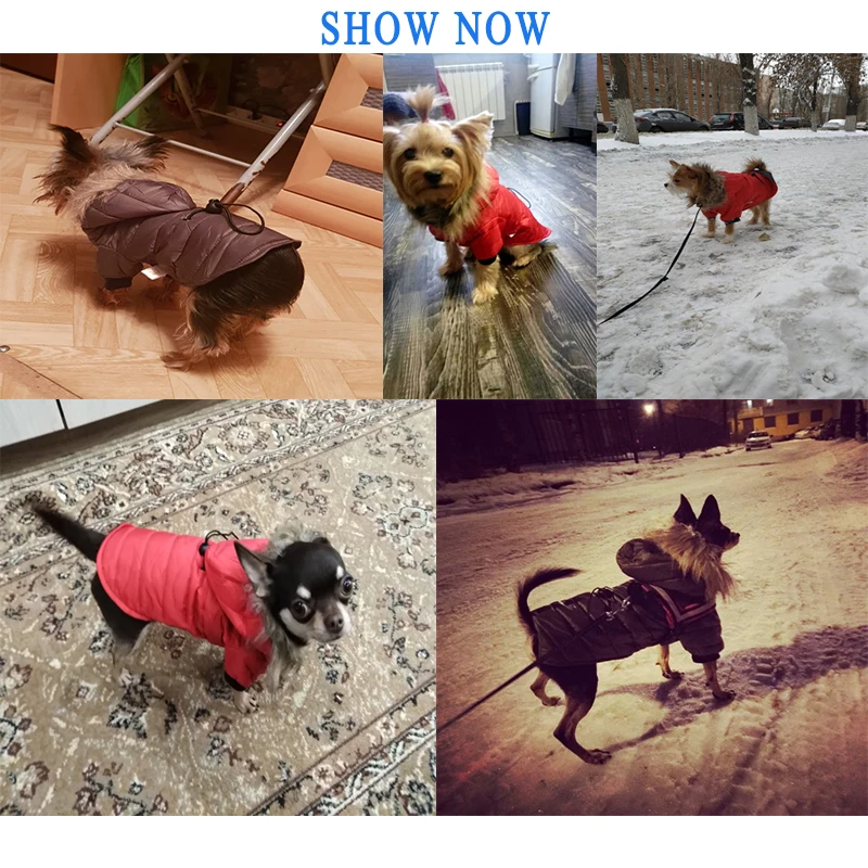 Hoomall пальто для собак из хлопка зимняя теплая одежда маленьких чихуахуа мягкая