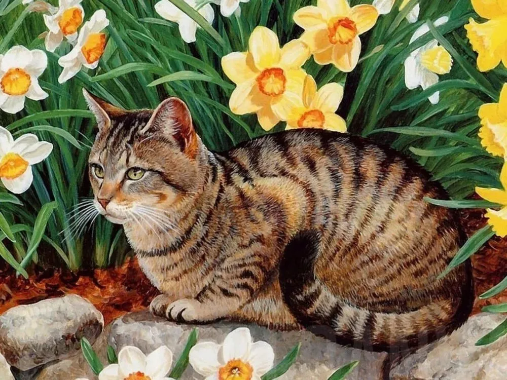 V8559 EverShine 5D Diamond Painting Animals Picture Of Rhinestones Diamond Embroidery Full Display Cat Cross Stitch Diamond Mosaic - Цвет: V8559