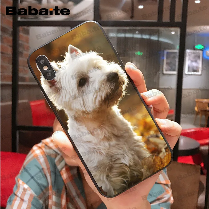 Цветной милый чехол для iphone 11pro max Westie dog 8 7 6 6S Plus X XS MAX 5 5S SE XR Cover Babaite | Мобильные