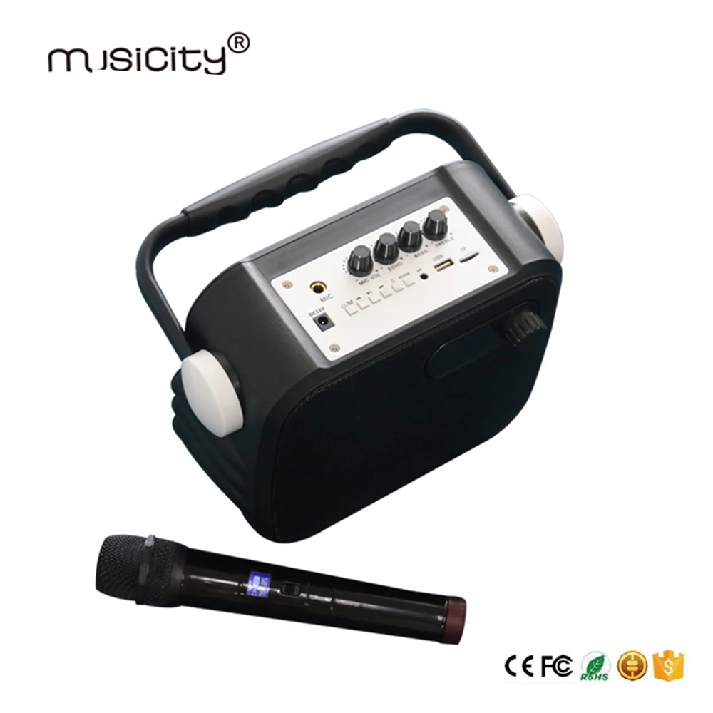 Musicity портативный PA Professional караоке Bluetooth динамик системы со звуком усилители