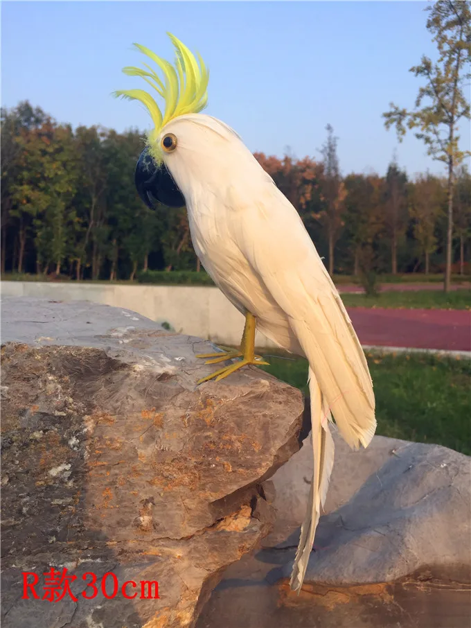 about 30cm white feathers parrot Handmade model foam&ampfeathers cockatoo bird prop garden decoration toy w0765 | Игрушки и хобби