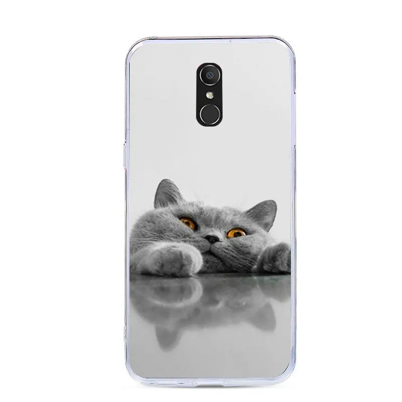 J& R чехол для Alcatel 1X чехол s Роскошный мягкий силиконовый чехол для телефона для Alcatel 1X 5059D 5059 5059A 1 чехол для мобильного телефона - Цвет: 19