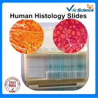 medical science human histology slides set of 100pcs