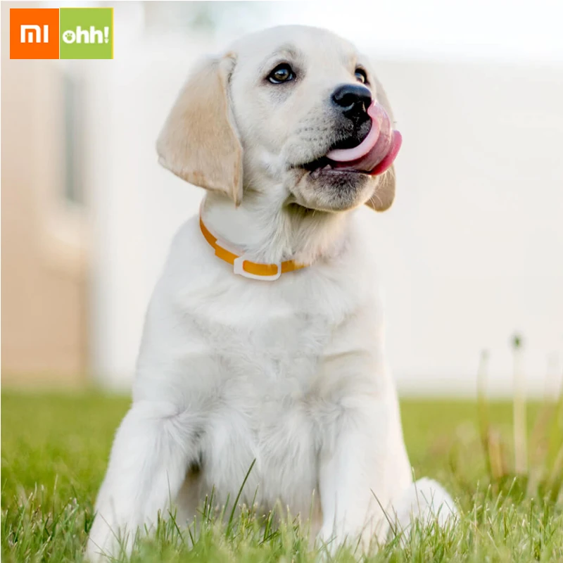 Собачий ошейник Xiaomi устраняющий блох для домашних питомцев собак кошек против
